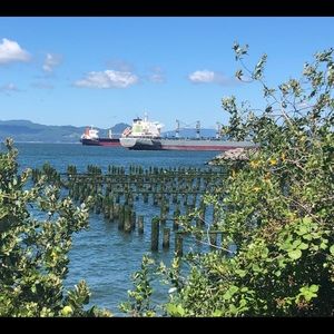 Meet your Posher, Abbie